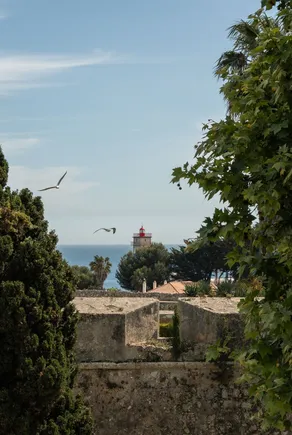 Artsy Cascais Rooftop